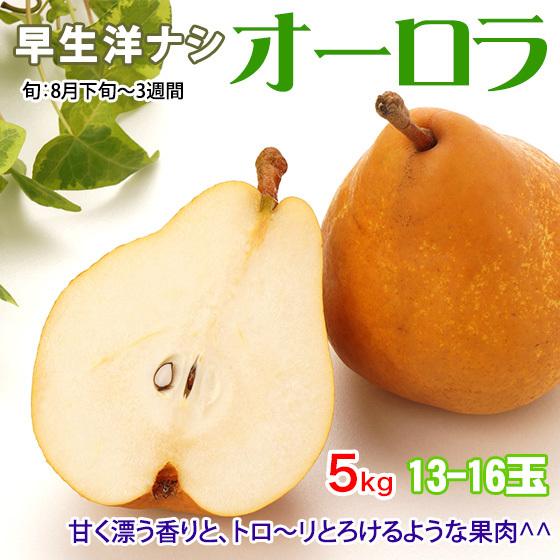 オーロラ 早生洋ナシ 5kg 13 16玉 お好みの硬さでお召し上がりください Aurora5kg001 くだもの屋 通販 Yahoo ショッピング
