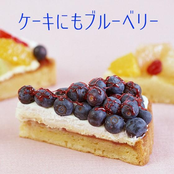 生ブルーベリー1kg 長野県産 アントシアニンたっぷり♪