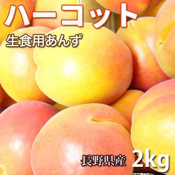 ハーコット ２キロ あんず 生食用 信州産 早期予約販売 Harkott2kg くだもの屋 通販 Yahoo ショッピング