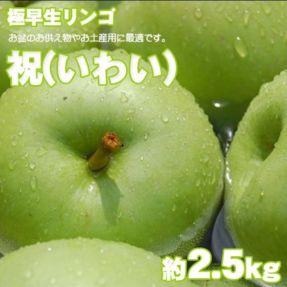 あおりんご2ページ★2+3 あおりんご2ページ☆2+3 あおりんご2ページ☆2+3 あおりんご2ページ☆2+3