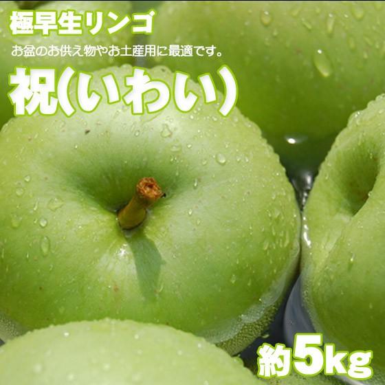 祝(いわい) 極早生 青りんご 約5kg 懐かしいリンゴ｜kudamonoya