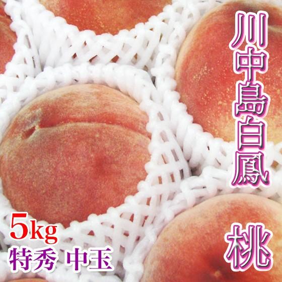 川中島白鳳 特秀 5kg 中玉 13-16玉 もも : くだもの屋 - 通販 - Yahoo 