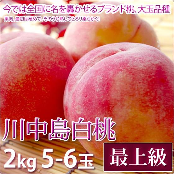 川中島白桃 桃 お中元 フルーツ 最上級 2kg 5 6玉入り Kawahakuto High 2kg 5 6 くだもの屋 通販 Yahoo ショッピング