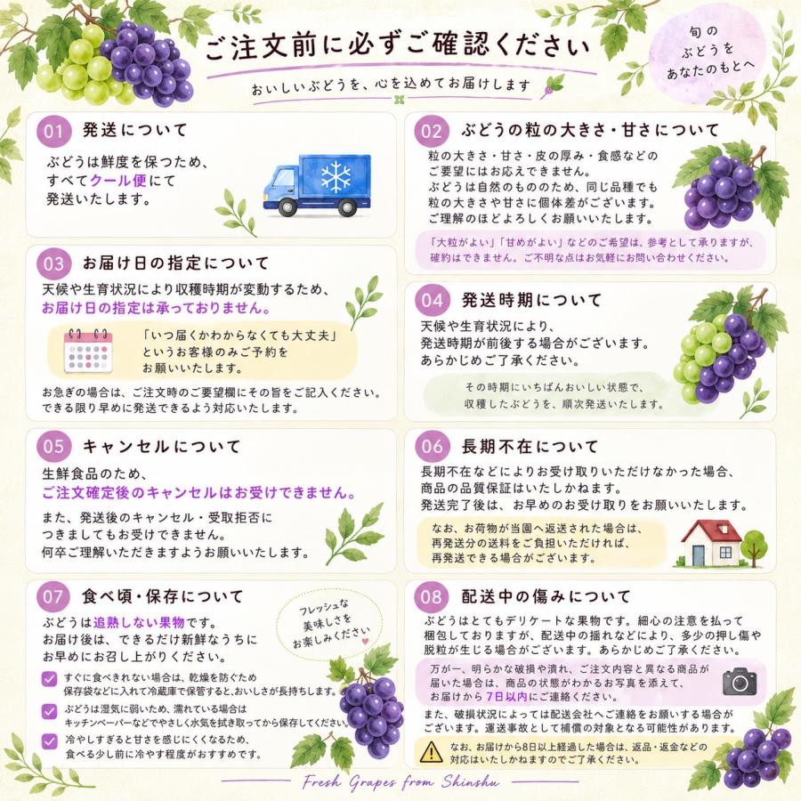 ナガノパープル 約1kg 2房 特秀 人気 露地ぶどう 送料無料 : くだもの