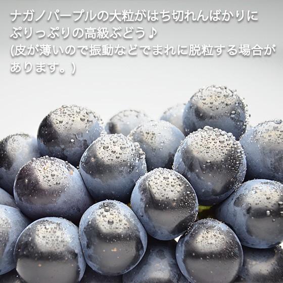 ぶどう ナガノパープル (ハウス) 特選品4kg 送料無料 : くだもの屋