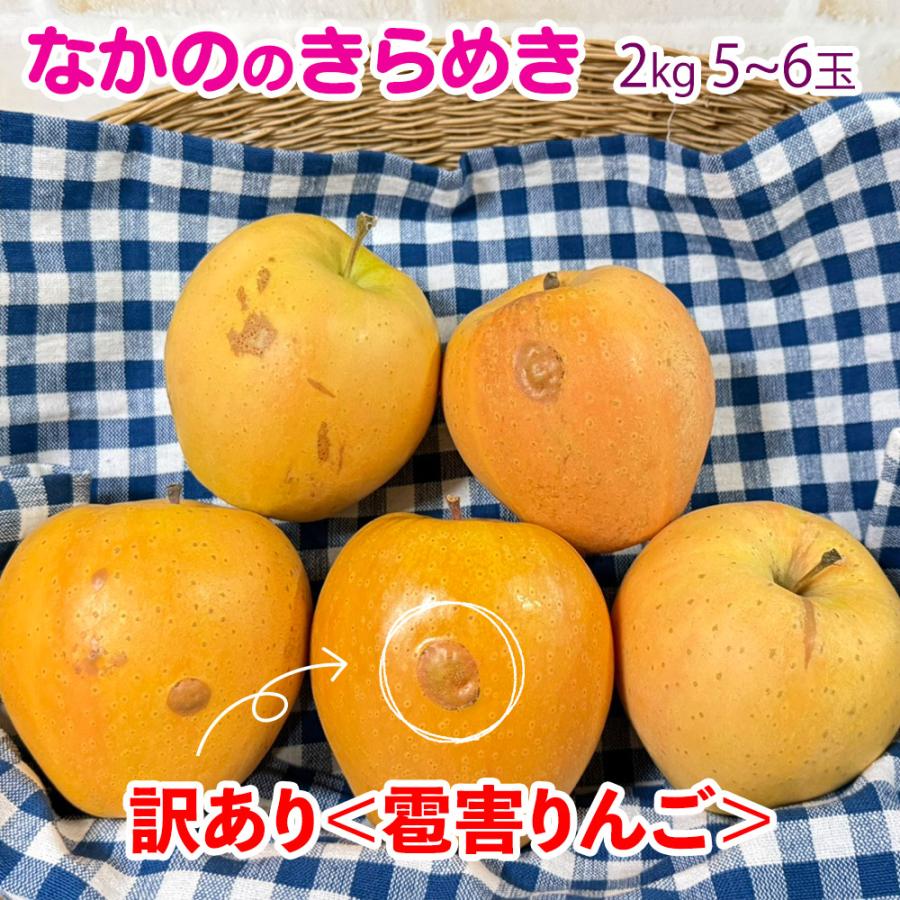 なかののきらめき ＜訳あり＞ 2kg 5-6玉 ピンク色を帯びたかわいい果実