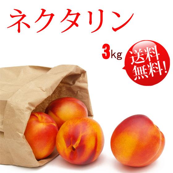 青森県産 大玉 エンパイア ネクタリン 3kg 2箱 【公式通販】
