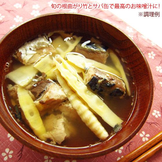 根曲がり竹 訳あり 天然もの 1キロ 長野県産 ネマガリダケ <6月上旬