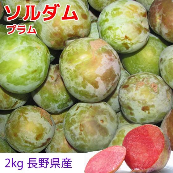 ソルダム 2kg プラムは品種代わりが早いのでお早めに 長野県産 Pl Soldum2kg001 くだもの屋 通販 Yahoo ショッピング