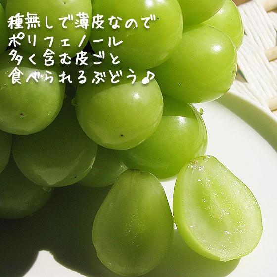 ナガノパープル＆シャインマスカット セット 2キロ4-5房 ギフト