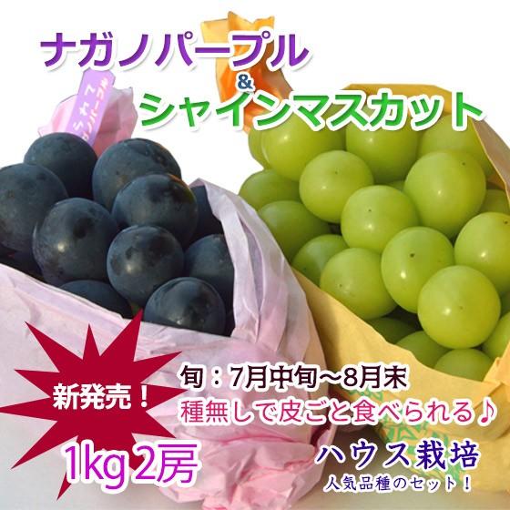 ナガノパープル＆シャインマスカット セット ハウス 1キロ 2房 ぶどう マスカット 送料無料