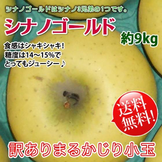 シナノゴールド 訳あり 送料無料 [丸かじり小玉サイズ] 長野県産 家庭