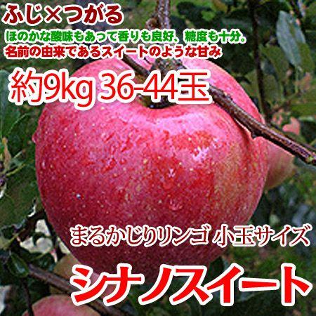 シナノスイート 約9kg 36-44玉 まるかじり りんご 小玉 送料無料