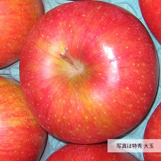 シナノスイート 限定 長野県産 5kg 10〜11玉 特大玉 特秀 : くだもの屋