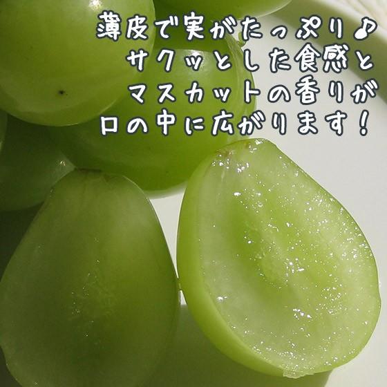 ぶどう シャインマスカット (ハウス) 高級白ぶどう 2kg4-5房 お中元