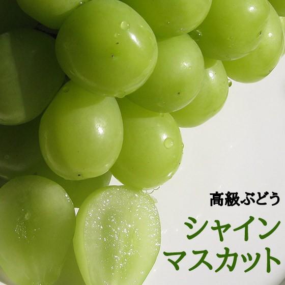 ぶどう シャインマスカット (ハウス) 高級白ぶどう 2kg4-5房 お中元