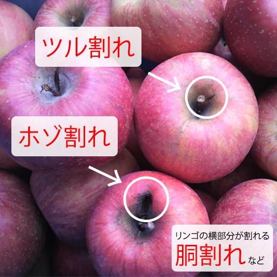 はねだしサンふじ リンゴ 約10kg 送料無料 長野りんご はねだしサンふじ リンゴ 約10kg 送料無料 長野りんご