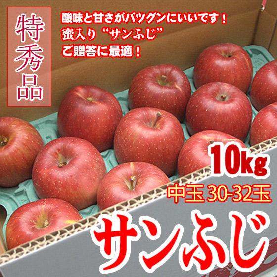 サンふじ 長野産 10kg 中玉 特秀 30-32玉 ギフト : くだもの屋 - 通販
