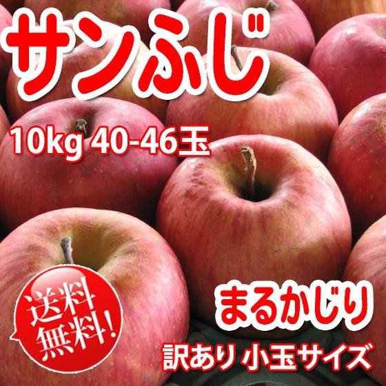 まるかじり サンふじ 訳あり小玉 約10kg 36〜48玉【長野りんご】 送料無料 リンゴ｜kudamonoya