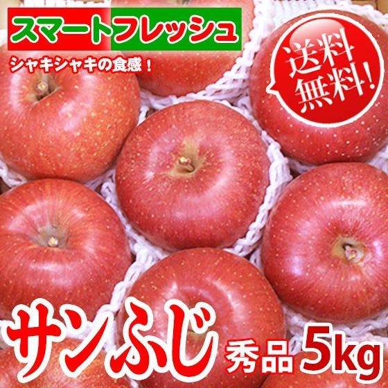 [送料無料] サンふじ 「スマートフレッシュ」貯蔵りんご 信州産 5kg 11~18玉 秀品 リンゴ｜kudamonoya