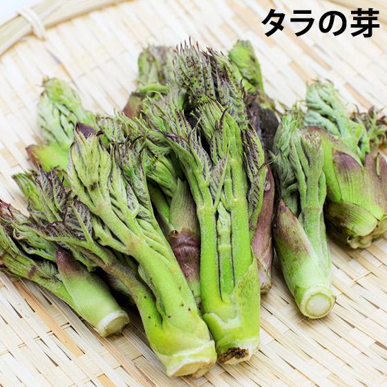 たらの芽 訳あり 天然もの 300グラム 長野県産 タラノメ 旬 4月中旬 5月下旬 Taranome Wake300g くだもの屋 通販 Yahoo ショッピング