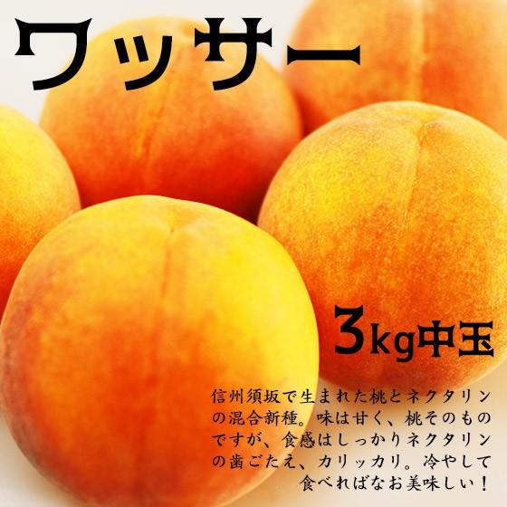 ワッサー 中玉3kg 桃とネクタリンの自然交配 いいとこ取りの果実です