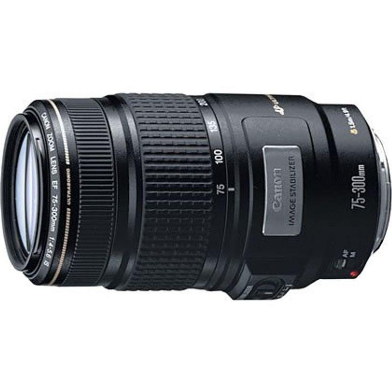 CANON EF 75-300mm F4-5.6 IS キヤノン Canon EF 75-300mm f⁄4-5.6 IS