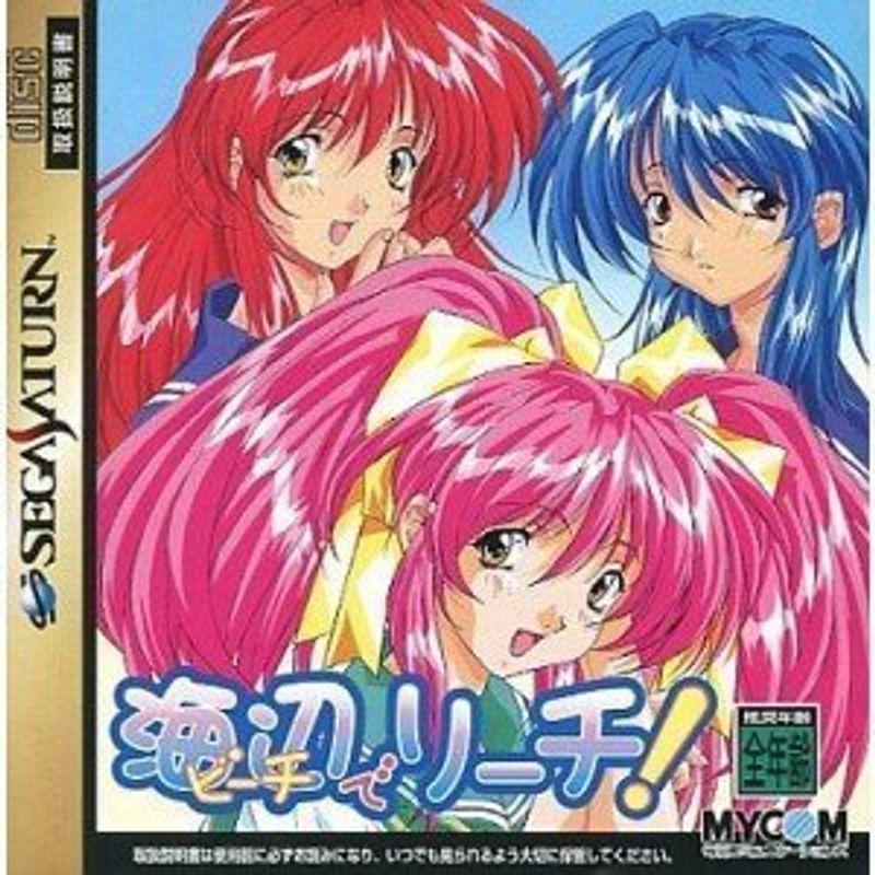 SALE／37%OFF NDS 海辺でリーチ!DS 美品 テレビゲーム