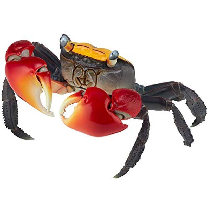 リボジオ アカテガニ 全幅約140mm PVC&ABS製 塗装済み 可動フィギュア 海洋堂(KAIYODO) RG002