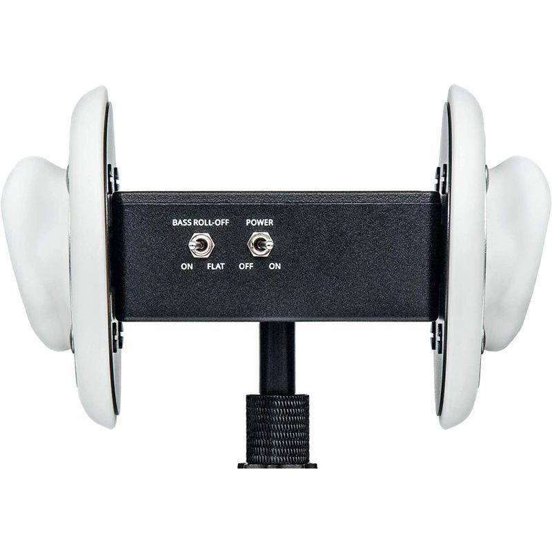 ブランド 米3Dioのバイノーラル録音用マイク Free Space 【W9907810898】(35264円)