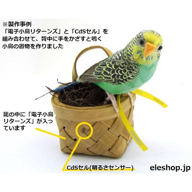 電子小鳥リターンズ (ワンダーキット P-479)｜kugadenllc｜02