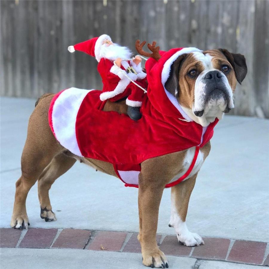 正規激安 ペットの犬のクリスマスの服 サンタクロースが鹿に乗ってジャケット コート ペットのクリスマスの犬のアパレル 大型犬または小型犬 用コスチューム 猫服 Aet 久が原商会 通販 Yahoo ショッピング お気にいる Jeannesauve Org