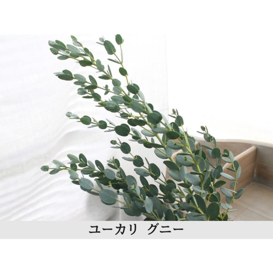 ユーカリ 3種類セット 葉枝 生花 40 60cm アレンジメント スワッグ素材 枝物 空間装飾 ナチュラル グリーンインテリア 国産 Freshs Flower Green Kugel 通販 Yahoo ショッピング