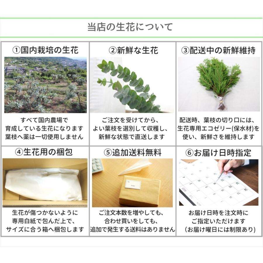 コニファー3種類セット 葉枝 生花 30 50cm アレンジメント スワッグ素材 枝物 空間装飾 ナチュラル グリーンインテリア 国産 Freshs Flower Green Kugel 通販 Yahoo ショッピング