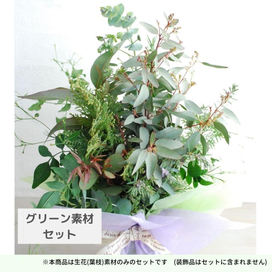 最大95 オフ ユーカリ グリーン素材セット 葉枝 生花 30 50cm アレンジメント スワッグ素材 枝物 空間装飾 癒し ハーブ グリーンインテリア 国産