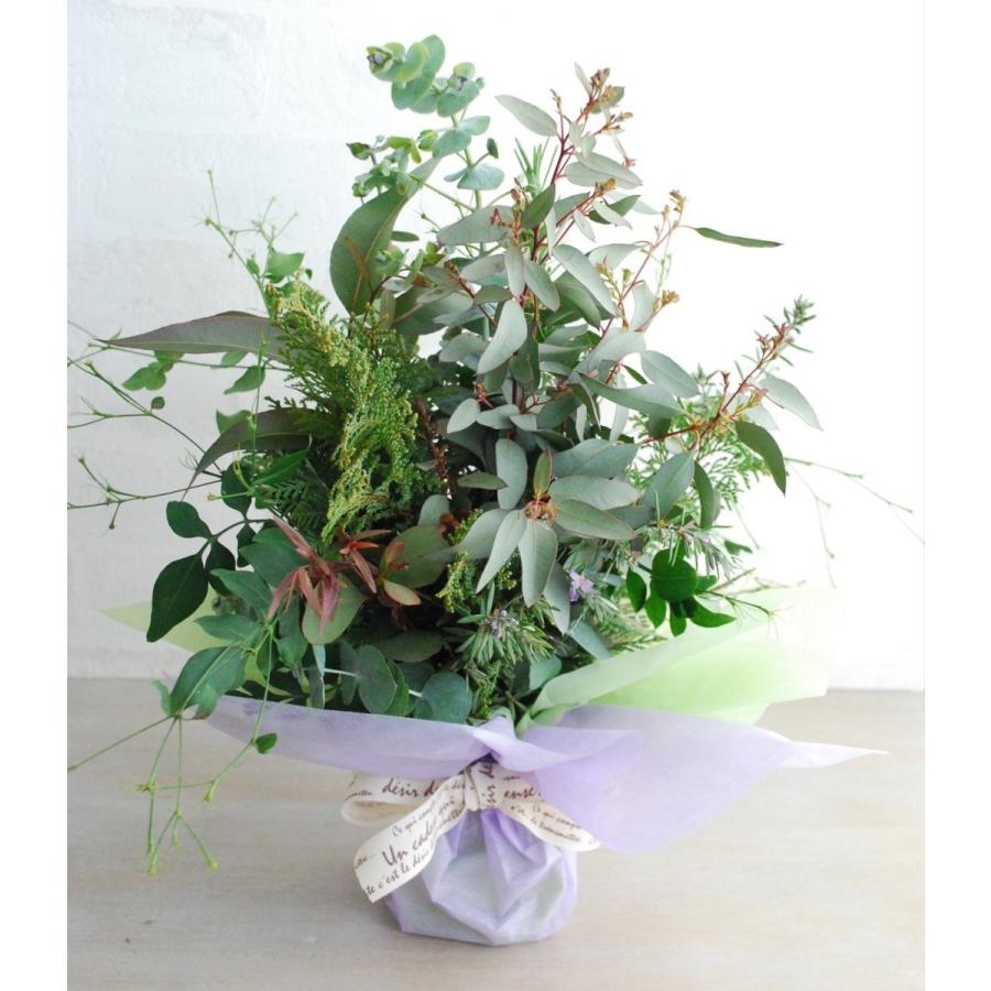 そのまま飾れるグリーンブーケ ユーカリブーケ グリーンギフト グリーンインテリア 癒し アロマ 部屋の彩り 爽やか ナチュラル Greenb Flower Green Kugel 通販 Yahoo ショッピング