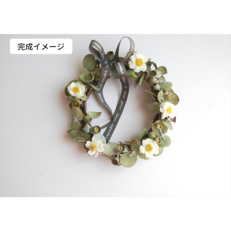 ユーカリ ミニリース製作キット グリーンギフト グリーンインテリア 壁掛け ウォールデコ 癒し プレゼント 部屋の彩り 手作りキット Greenkit Flower Green Kugel 通販 Yahoo ショッピング