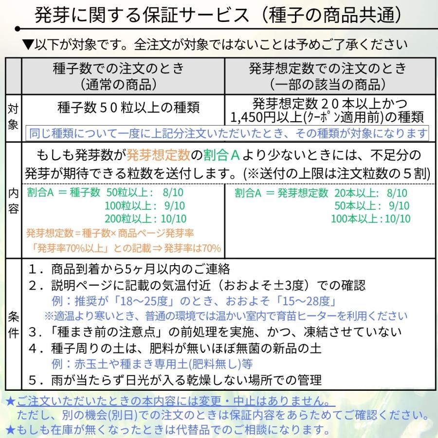 ティーツリーやオージープランツ種子 おすすめ5種類セット - 丈夫で育てやすい種類の種子 |  | 06