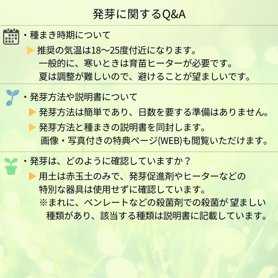 ティーツリーやオージープランツ種子 おすすめ5種類セット - 丈夫で育てやすい種類の種子 |  | 04