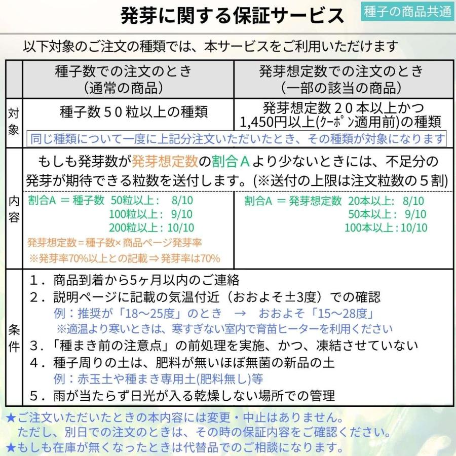 銀合歓（ギンゴウカン） 種子 | ギンネム - 春と秋に開花する中南米の花木 - 種子 |  | 07