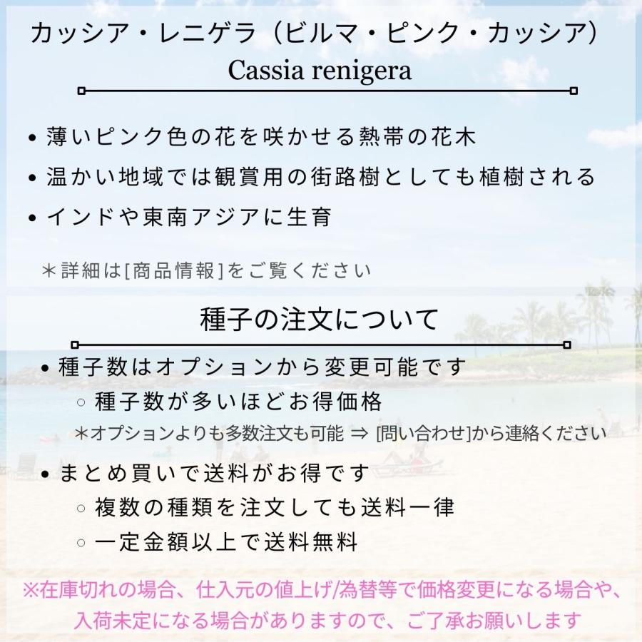 カッシア・レニゲラ 種子 | ビルマ・ピンク・カッシア - ピンク色の花を咲かせる熱帯の花木 - 種子｜kugelfg｜02