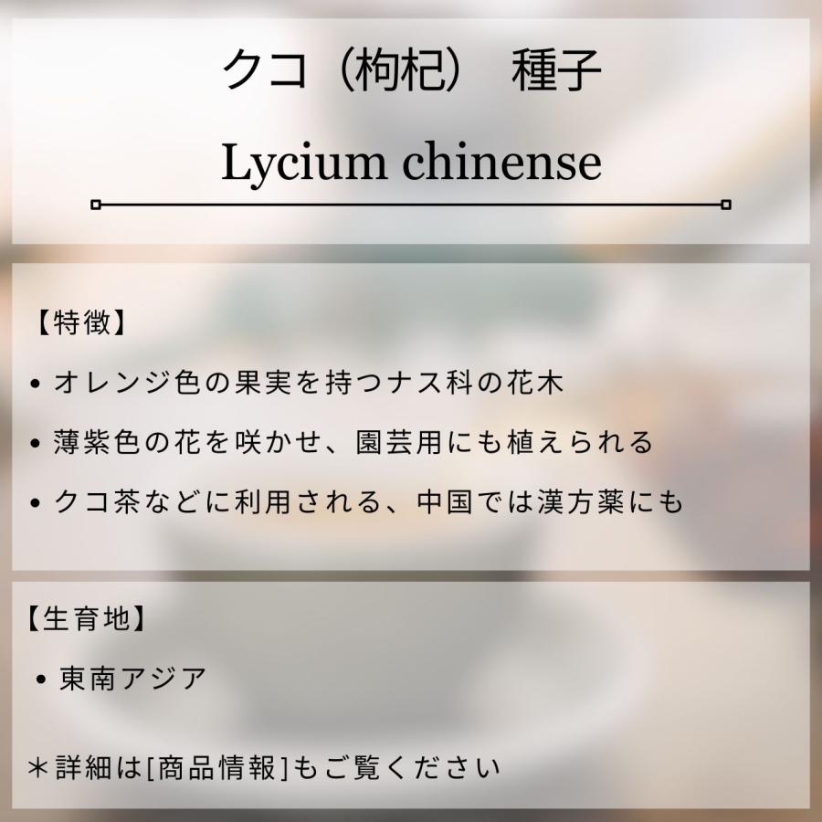 クコ（枸杞） 種子 | ウルフベリー - オレンジ色の果実 - 種子 |  | 01