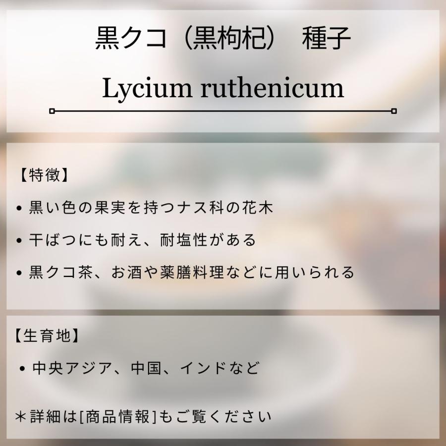 黒クコ（黒枸杞） 種子 | ブラックゴジベリー - 黒色の果実 - 種子 |  | 01