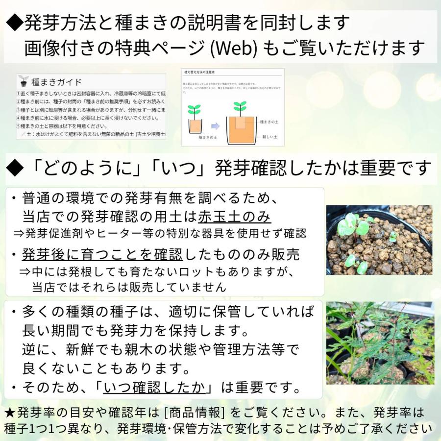 ニゲラ・サティバ 種子 | ブラッククミン - ブラックシードの一種 