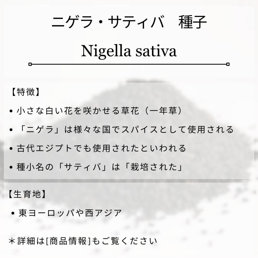 ニゲラ・サティバ 種子 | ブラッククミン - ブラックシードの一種 - 種子 |  | 01
