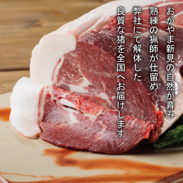 送料無料 猪肉 あったか ぼたん鍋 セット 3-4人前 500g ロース カタロース モモ 小分け 100g ジビエ お歳暮 2025 贈答 ギフト 鍋 お取り寄せ | ブランド登録なし | 01