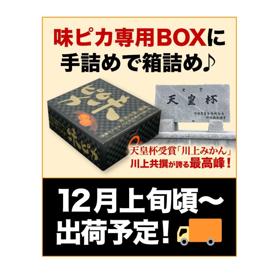 12月発送 予約商品 御歳暮 ギフト みかん 天皇杯受賞 味ピカみかん 約