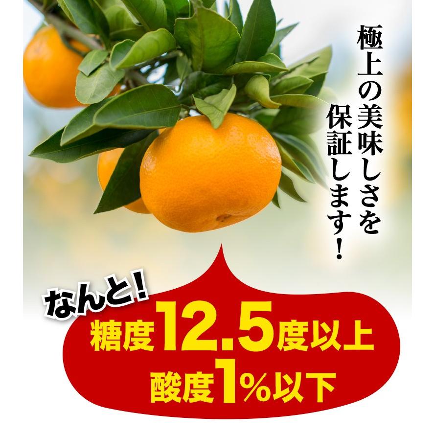 12月発送 予約商品 御歳暮 ギフト みかん 天皇杯受賞 味ピカ 12月発送 予約商品 御歳暮 ギフト みかん 天皇杯受賞 味ピカ