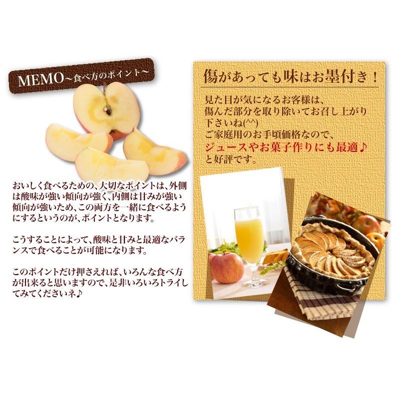 りんご サンふじ 完熟蜜入り５kg 青森県南部産 樹成り完熟 ご家庭用 訳あり 送料無料 グルメ Y常 Apn005t くいしんぼうドットコム 通販 Yahoo ショッピング