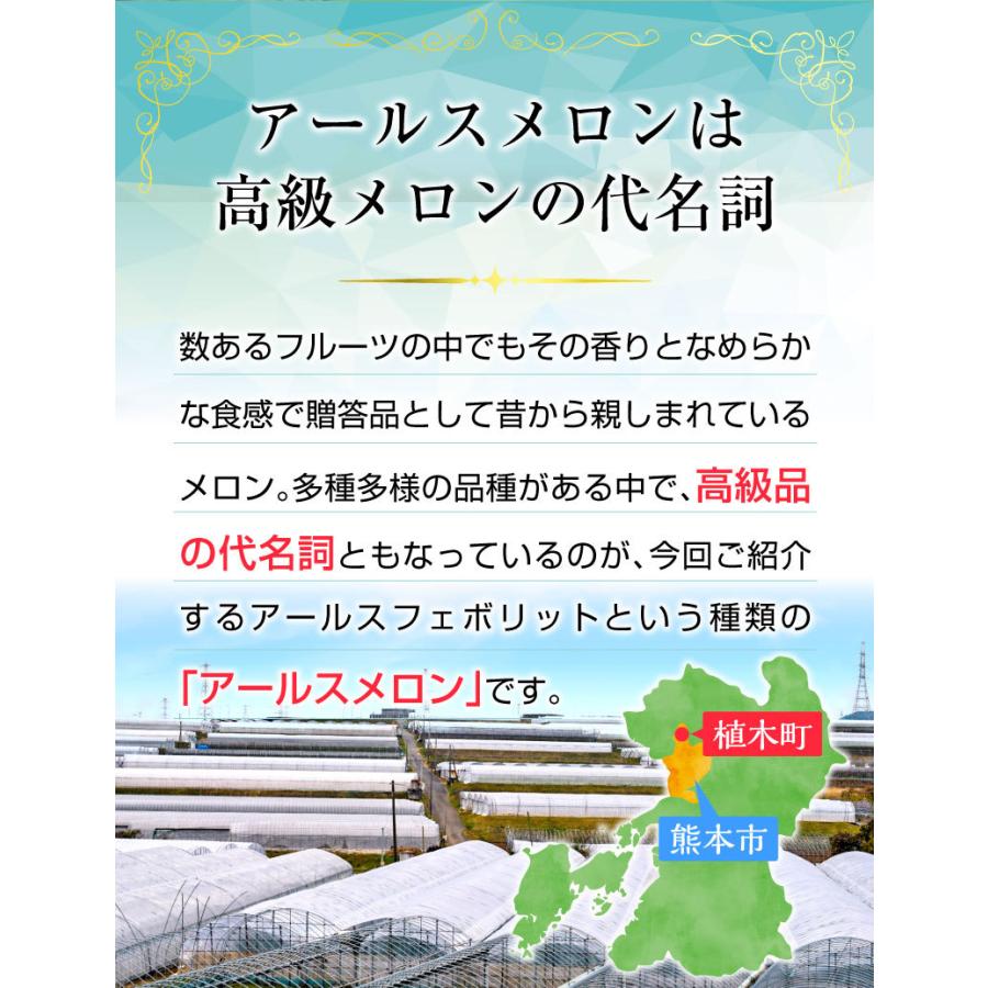 ポイント10倍 母の日 プレゼント 母の日ギフト 父の日 メロン アールスメロン 秀品 ２L/１玉 熊本県産 温室 送料無料 高級メロン 産直 フルーツ 果物 S常｜kuishinboucom｜04